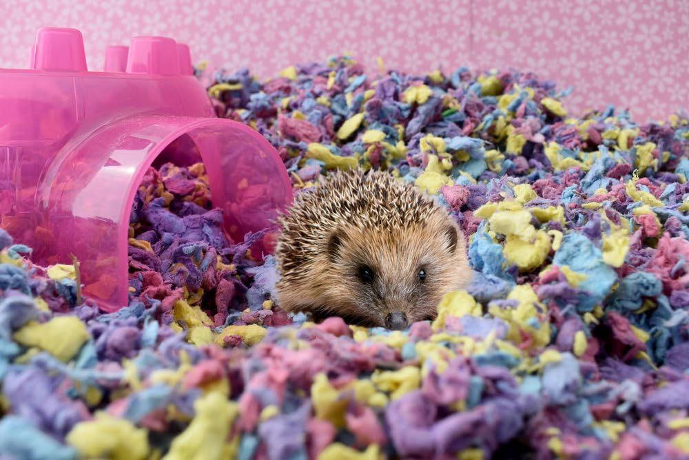 Critter Care Confetti Small Animal Bedding - 10 Liter Natural Paper Litter, Super Absorbent & Odor Control for Hamsters, Guinea Pigs, Rabbits & Ferrets