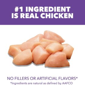 IAMS Proactive Health Healthy Kitten Dry Cat Food with Chicken - High Protein for Developing Muscles & Brain Health, 3.5 Lb Bag