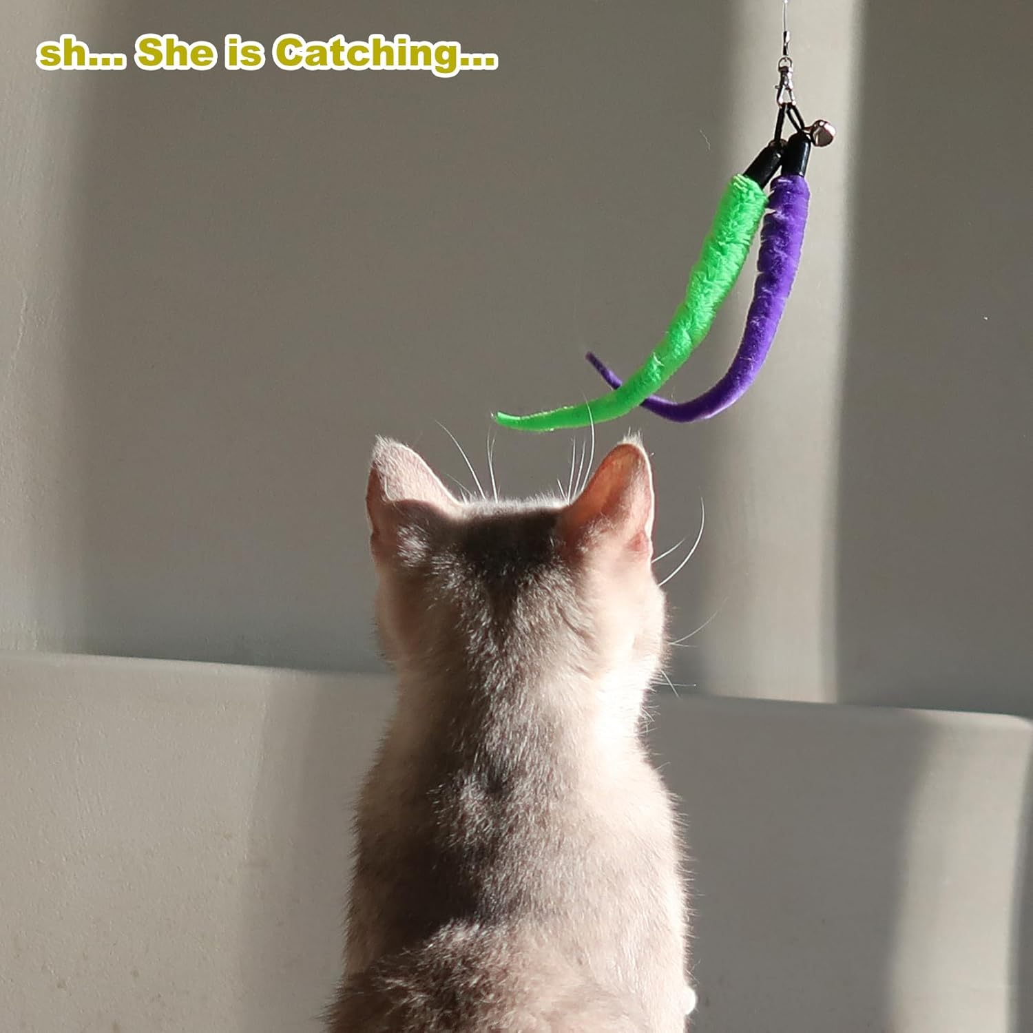 Cat Wand Toy Set for Indoor Cats - Retractable Interactive Teaser with 9 Feather Refills, Ideal for Kittens & Adult Cats