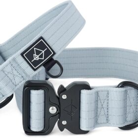 Made to ROAM Premium Heavy Duty Dog Collar – Rust-Proof Metal Buckle & Double-Layered Nylon for Training & Outdoor Adventures