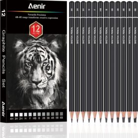 Professional Sketch Pencils for Drawing & Shading - 12 Piece Graphite Set (6B to 4H) - Artist Grade Sketching Supplies for Beginners & Pros