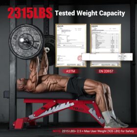 YOLEO Commercial Adjustable Weight Bench - Heavy Duty 2315LBS Capacity Weight Bench for Full Body Workout | 7-Position Backrest & 3-Position Seat for Flat, Incline, Decline Press | 2.4'' Thick Pad (Black/Red)
