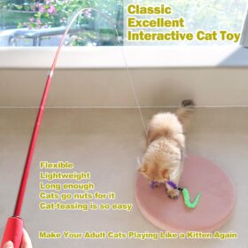 Cat Wand Toy Set for Indoor Cats - Retractable Interactive Teaser with 9 Feather Refills, Ideal for Kittens & Adult Cats