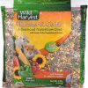 Wild Harvest Advanced Nutrition Diet for Hamsters & Gerbils - 4 lb Resealable Bag of Wholesome Grain, Fruit & Veggie Blend
