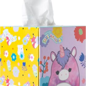 Smart Care Squishmallows Facial Tissues - Ultra Soft 2-Ply, 85 Count Box (Pack of 1) - Premium Softness for Sensitive Noses