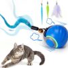 BABORUI Interactive Cat Toy Ball - Rechargeable Electric Exercise Ball with 3 Tails, 2 Speeds & Smart Motion Sensor for Indoor Cats