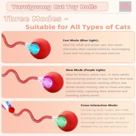 Speedy Tail 2.0 Rechargeable Interactive Cat Toy Ball - Smart Automatic Pet Ball with 3 Modes, Bird Sound, USB-C Charging for Indoor Cats & Kittens (Red)