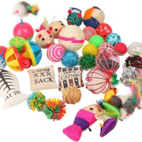 Fashion's Talk 20-Piece Cat Toy Variety Pack – Interactive Assortment of Wand, Ball, Feather & Catnip Toys for Exercise & Play