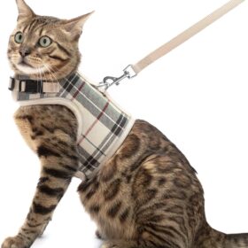 PUPTECK Escape Proof Cat Harness and Leash Set - Soft Mesh Vest for Cats, Small Dogs & Puppies - Plaid Beige, Large