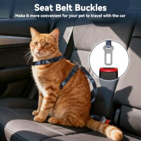 Escape Proof Cat Harness and Leash Set - 3-in-1 Adjustable Kitten Vest with Soft Nylon Mesh, Lightweight & Safe for Walking & Travel (Black)