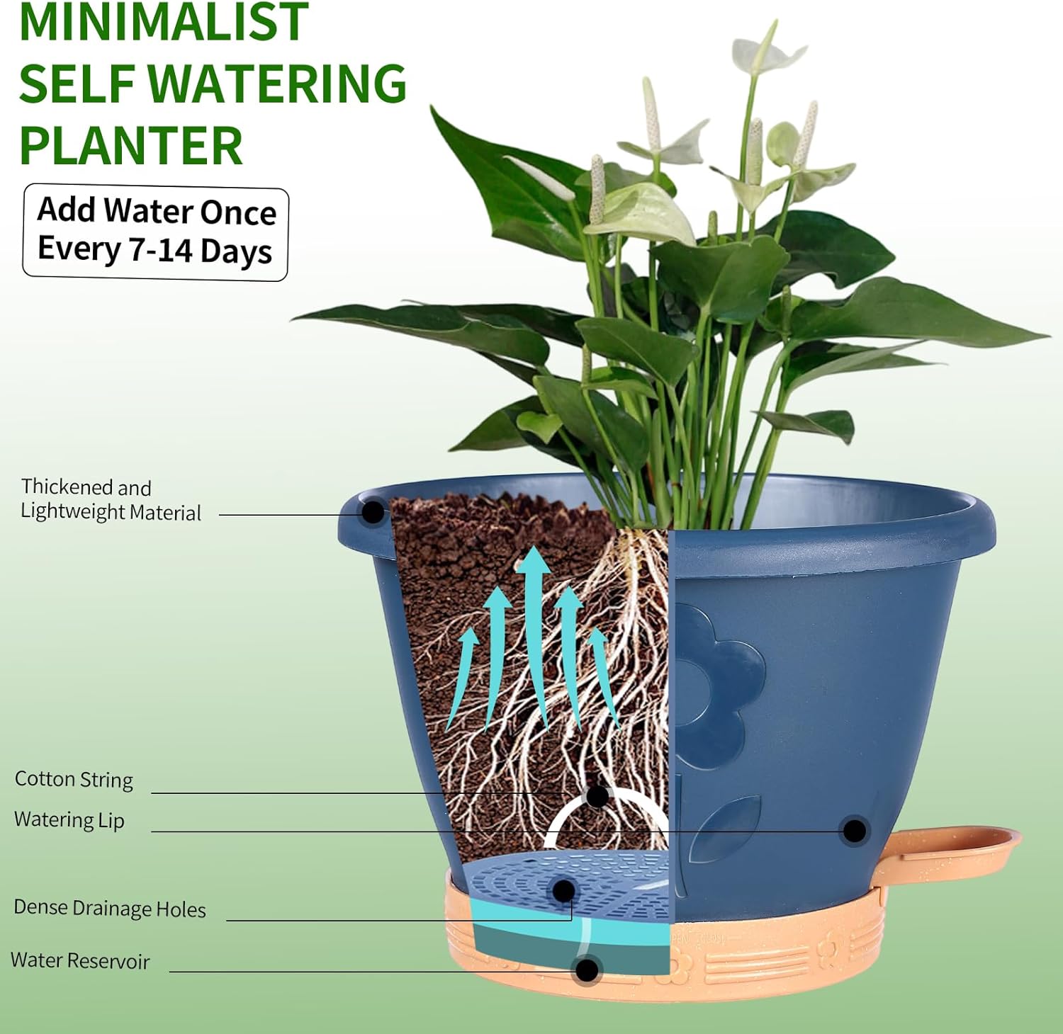 Set of 4 Self-Watering Plant Pots, 10 Inch Plastic Planters with Saucer & Drainage Holes, Indoor/Outdoor Flower Pots & Reservoir for All Plants (Modern Black)