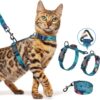 Halypet H300 Pro Cat Harness and Leash Set – 3-in-1 Adjustable, Escape-Proof Walking Vest for Kittens & Large Cats