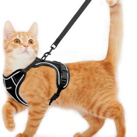 Escape-Proof Cat Harness and Leash – Adjustable, Soft Mesh Walking Vest with Reflective Strips for Kittens & Cats – Black, Size Small