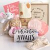Newborn Baby Girl Gift Set - Premium Cotton Bodysuit, Muslin Swaddle & Plush Toy Basket - Unique Baby Shower & Gender Reveal Presents