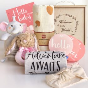 Newborn Baby Girl Gift Set - Premium Cotton Bodysuit, Muslin Swaddle & Plush Toy Basket - Unique Baby Shower & Gender Reveal Presents
