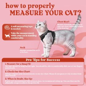 rabbitgoo Cat Harness and Leash for Walking - Escape Proof Adjustable Vest, Lightweight Breathable Mesh Jacket with Reflective Strips, Easy Control for Indoor & Outdoor Adventures (Black, M)