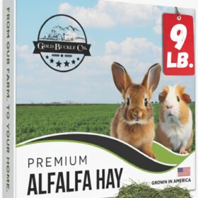 9lb Farm Fresh Organic Alfalfa Hay for Rabbits & Small Pets - USA Grown, High Protein & Fiber for Growth & Nursing