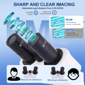 Professional 40X-2500X Binocular Compound Microscope with Mechanical Stage, LED Illumination & Phone Adapter - Lab & Home Science Kit