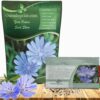 Outsidepride Chicory Seeds - 5,000 Bulk Non-GMO Perennial Wildflower Seeds - Drought Tolerant Blue Flowers for Pollinators, Wildlife Food Plots & Pasture Forage