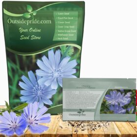 Outsidepride Chicory Seeds - 5,000 Bulk Non-GMO Perennial Wildflower Seeds - Drought Tolerant Blue Flowers for Pollinators, Wildlife Food Plots & Pasture Forage
