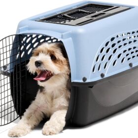 Petmate Two-Door Pet Kennel & Travel Carrier for Small Dogs & Cats - Airline Approved, Top & Front Loading, Made in USA, 24-Inch, Blue