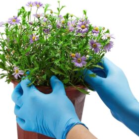 Kids Disposable Gloves – Latex & Powder Free – Multipurpose Clear Gloves for Painting, Crafting, Gardening & Food Preparation (Fits Ages 4-10)