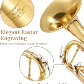 Eastar ETR-380 Gold Bb Trumpet Standard – Complete Beginner Student Kit with 7C Mouthpiece, Hard Case, Gloves & Cleaning Tools