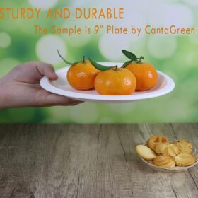 Eco-Friendly 6 Inch Compostable Dessert Plates – 100 Count Heavy Duty Bagasse & Bamboo Fiber Disposable Plates – Biodegradable, Microwave Safe & Sturdy for Hot or Cold Foods