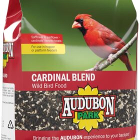 Audubon Park 12231 Cardinal Blend Wild Bird Food – Premium 4 lb. Seed Mix for Cardinals & Backyard Songbirds