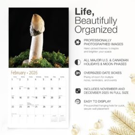 MiCasa Press Funny D'ck Pics in Nature 2026 Wall Calendar | 12 x 24 Inch Open | Gag Gift for Adults | White Elephant & Office Humor | Thick Paper