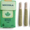 Nocciola 3-Pack Premium Catnip Toys – 100% Organic Cat Kicker & Teething Chew for Stress Relief & Play