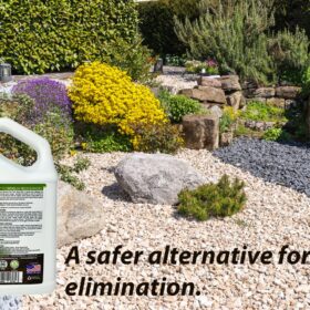 Natural Elements Weed Killer - 1 Gallon Pet Safe & Child Friendly Herbicide - Organic Fast-Acting Lawn & Garden Treatment