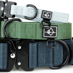 Made to ROAM Premium Heavy Duty Dog Collar – Rust-Proof Metal Buckle & Double-Layered Nylon for Training & Outdoor Adventures