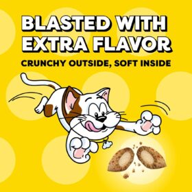 Temptations Wacky Blasts Cat Treats – Cluckin’ Bacon Flavor – Crunchy Soft Cat Snacks – 16 oz. Tub