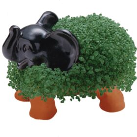 Chia Pet Elephant with Seed Pack - Handmade Pottery Planter, Easy to Grow DIY Kit, Novelty Home Decor & Gift