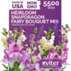 KVITER 5,500 Fairy Bouquet Snapdragon Seeds (Linaria Maroccana) – Non-GMO Heirloom Flower Seeds for Planting – Perfect for Outdoor Gardens, Borders, & Cut Flower Arrangements