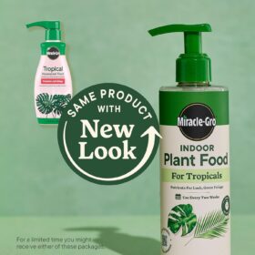 Miracle-Gro Tropical Houseplant Food (2-Pack) - 16 oz. Total Liquid Fertilizer for Monstera, Pothos, Palm & Fiddle Leaf Fig - Instant Feeding for Lush Indoor Foliage