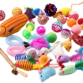 Fashion's Talk 20-Piece Cat Toy Variety Pack – Interactive Assortment of Wand, Ball, Feather & Catnip Toys for Exercise & Play