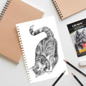 Professional Sketching Pencil Set - 14 Pack Graphite Drawing Pencils (12B-5H), Premium Art Supplies for Sketching, Shading & Drawing - Ideal for Beginners & Artists