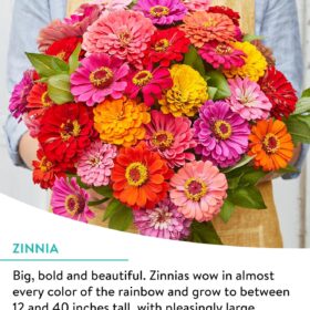 Burpee Wildflower Seed Cutting Mix – 25,000+ Non-GMO Flower Seeds for Bouquets, Covers 1,000 Sq. Ft.