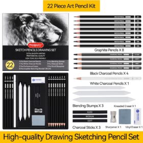 PANDAFLY Premium Sketch Pencil Set – 22 Piece Complete Drawing & Charcoal Art Kit for Artists & Beginners