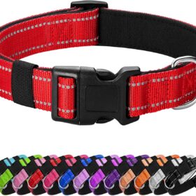PenSeepet Padded Neoprene Reflective Dog Collar – Soft, Breathable Quick-Release Safety Collar for Medium & Large Dogs