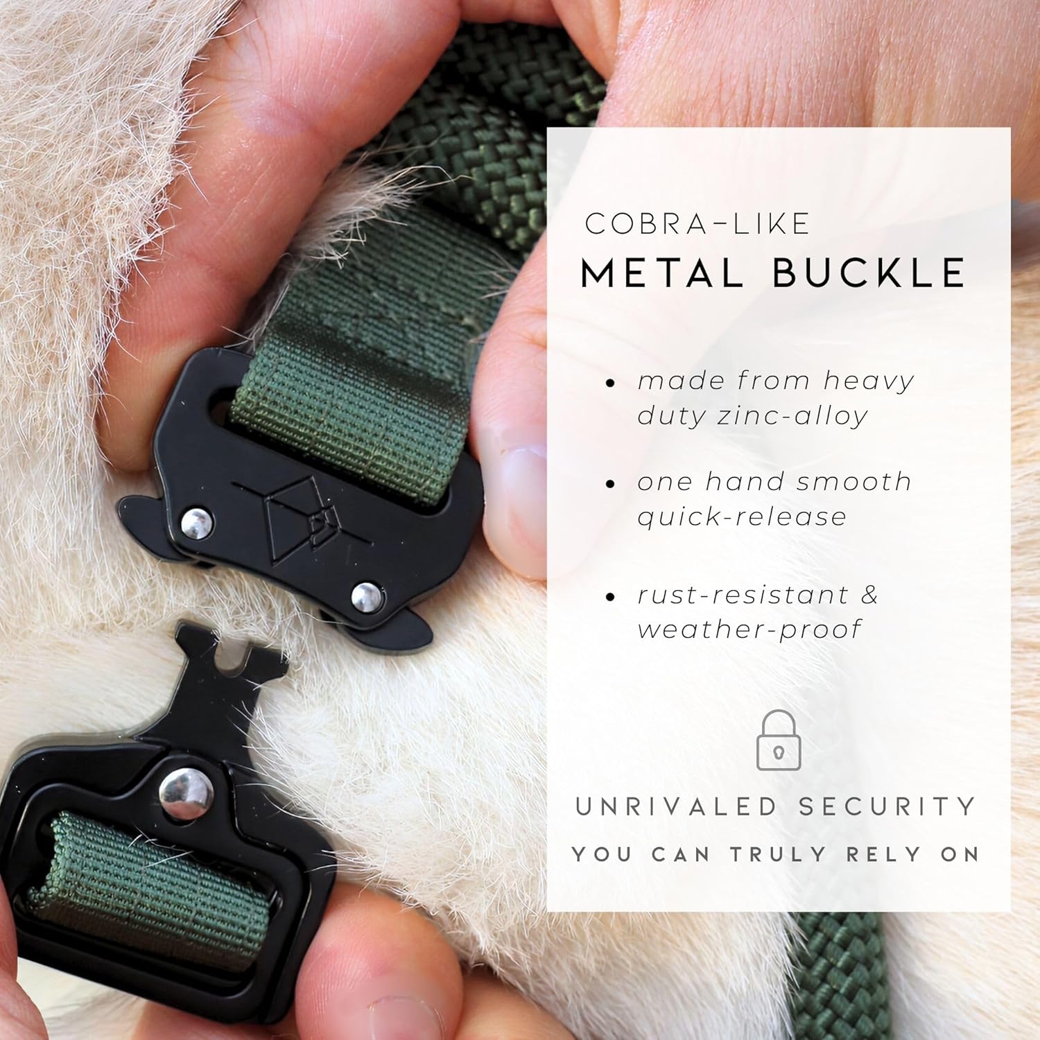 Made to ROAM Premium Heavy Duty Dog Collar – Rust-Proof Metal Buckle & Double-Layered Nylon for Training & Outdoor Adventures