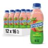 Snapple Kiwi Strawberry Juice Drink – 16 Fl Oz Bottles (Pack of 12) – Made with Real Juice, No Artificial Sweeteners, Eco-Friendly Packaging
