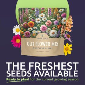 1 Ounce Cut Flower Garden Seeds Mix – Over 7,500 Non-GMO Annual & Perennial Wildflowers for Bouquets