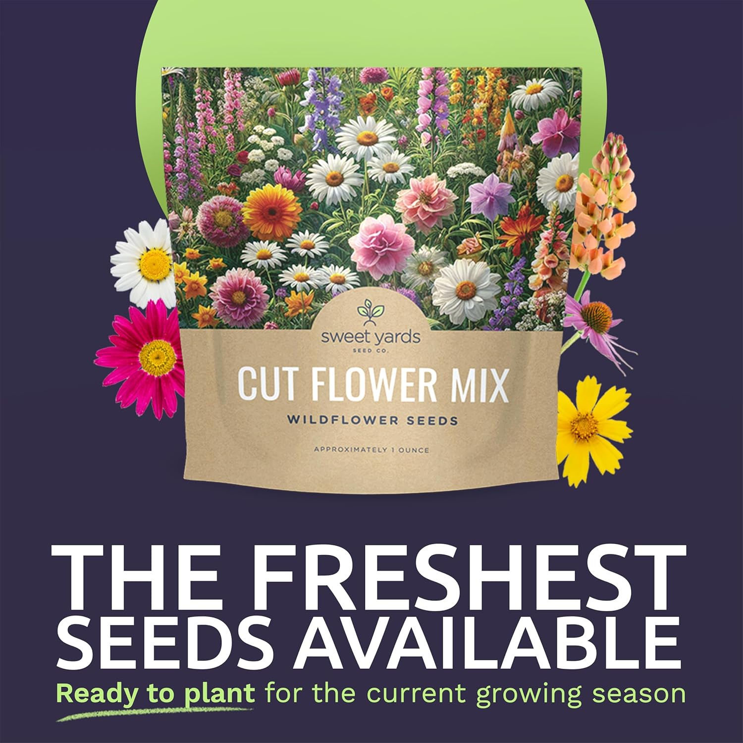 1 Ounce Cut Flower Garden Seeds Mix – Over 7,500 Non-GMO Annual & Perennial Wildflowers for Bouquets