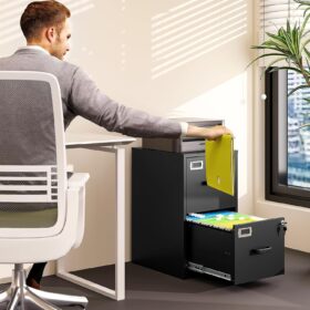 2-Drawer Locking Vertical File Cabinet - Steel Mobile Filing Cabinet for Home & Office