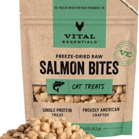 Vital Essentials Freeze-Dried Salmon Cat Treats – Grain Free, Single Protein Raw Diet Bites – 1.1 oz