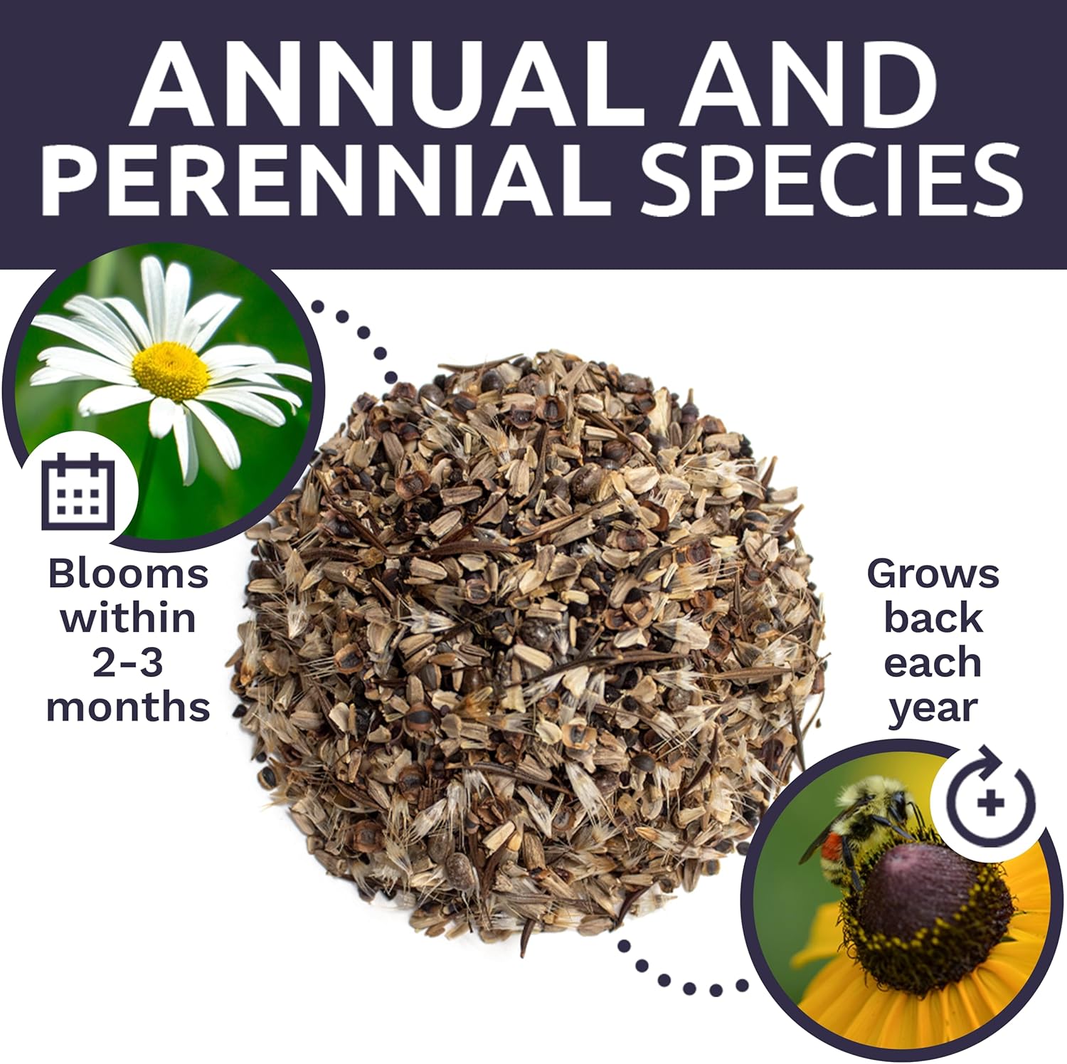 1 Ounce Cut Flower Garden Seeds Mix – Over 7,500 Non-GMO Annual & Perennial Wildflowers for Bouquets