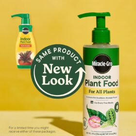 Miracle-Gro Indoor Plant Food Spikes 2-Pack (8 oz ea) | Instant All-Purpose Liquid Fertilizer for Houseplants, Herbs, Vegetables & Flowers